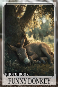 Funny Donkey Photo Book