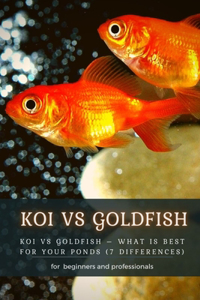 Koi Vs Goldfish