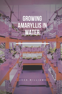 Growing Amaryllis In Water