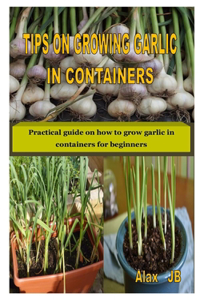 Tips on Growing Garlic in Containers