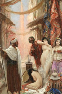 Aventures Sauvages Dans l'Orient