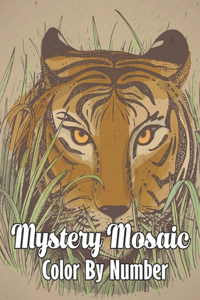 Mystery Mosaics Color By Number Coloring Book