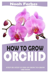 How to Grow Orchid