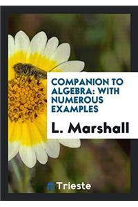 Companion to Algebra