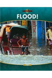 Flood