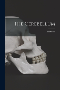 Cerebellum