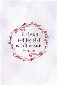 Trust and Wait For What Is Still Unseen Romans 8