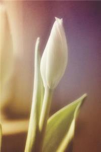 White Tulip Journal