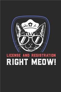 License And Registration RIGHT MEOW
