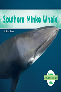 Southern Minke Whale