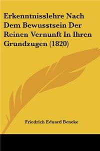 Erkenntnisslehre Nach Dem Bewusstsein Der Reinen Vernunft In Ihren Grundzugen (1820)