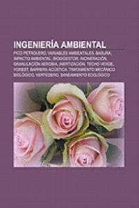 Ingenieria Ambiental