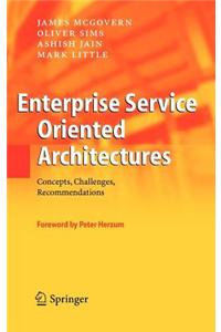 Enterprise Service Oriented Architectures: Concepts, Challenges, Recommendations