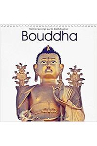 Bouddha 2017