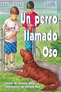 Un Perro Llamado Oso (Dog Called Bear)
