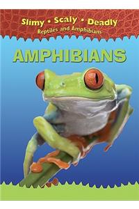 Amphibians