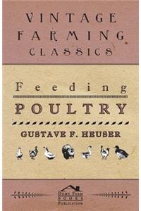 Feeding Poultry