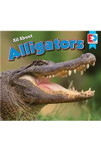 All about Alligators