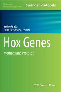 Hox Genes