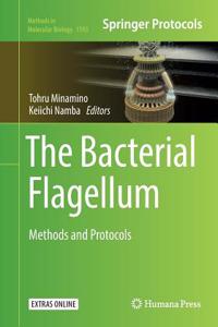 Bacterial Flagellum