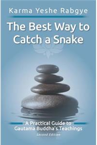 Best Way to Catch a Snake