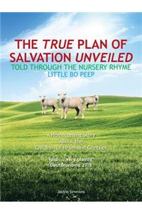 The True Plan of Salvation Unveiled