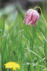 Snakes Head Fritillary Flowers Journal