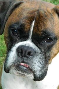 Skeptical Tan and White Boxer Puppy Dog Journal