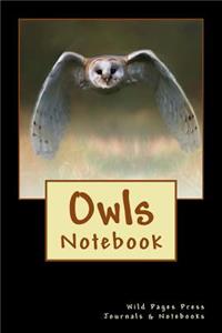 Owls