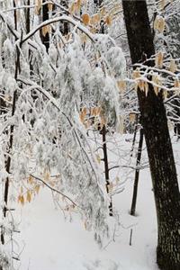 Scenic Winter Season Journal