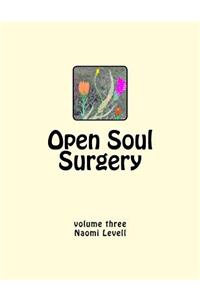 Vol. 3, Open Soul Surgery, large print edition