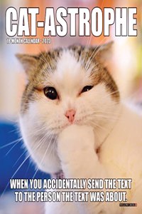 Cat-Astrophe 2023 Mini Wall Calendar