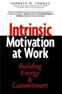 Intrinsic Motivation at Work