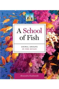 School of Fish: Animal Groups in the Ocean