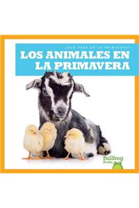 Los Animales En La Primavera (Animals in Spring)