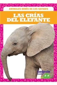 Las Crias del Elefante (Elephant Calves)