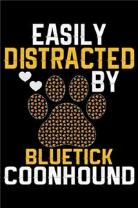 Easily Distracted by Bluetick Coonhound