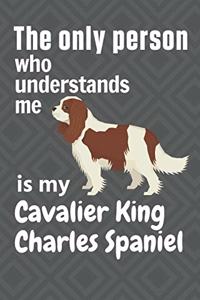 The only person who understands me is my Cavalier King Charles Spaniel