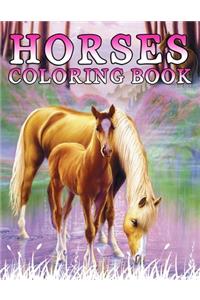 Horses Coloring Book