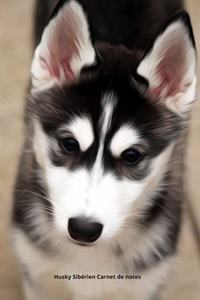 Husky Sibérien Carnet de notes