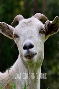 Goat Coloring Book