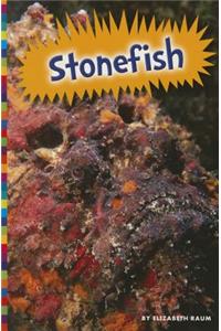 Stonefish