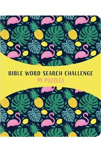 Bible Word Search Challenge