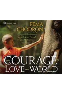 Courage to Love the World