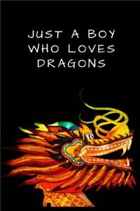 Just A Boy Who Loves Dragons