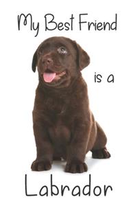 My best Friend is a Labrador