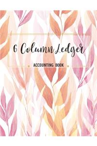 6 Column Ledger Accounting Book