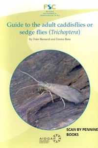 Guide to the Adult Caddisflies or Sedge Flies (Trichoptera)