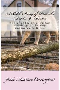 A Bible Study of Proverbs Chapter 9--Book 3