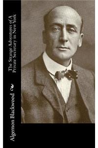 Strange Adventures of A Private Secretary in New York